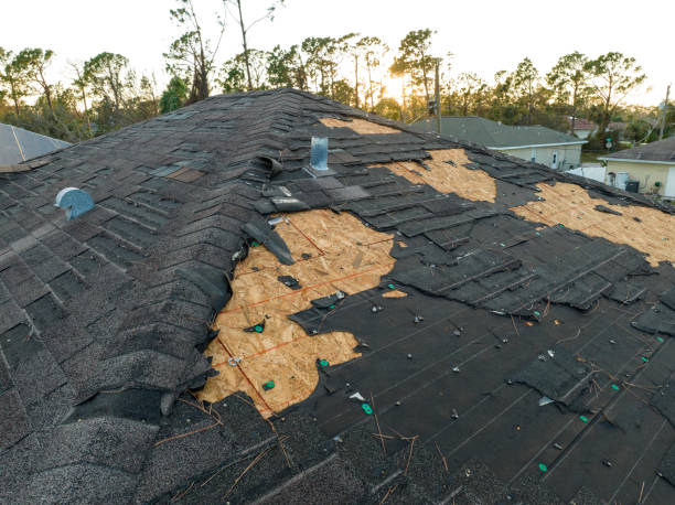 Best Steel Roofing  in Braidwood, IL