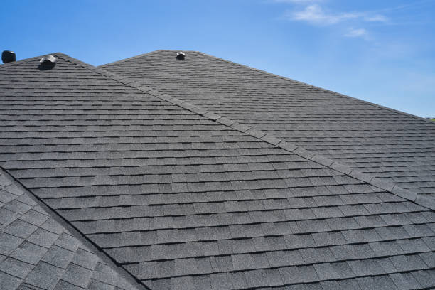 Best Roof Moss and Algae Removal  in Braidwood, IL